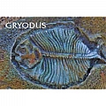 Bon Tool 32-269-B5 FOSSIL STAMP - GRYODUS
