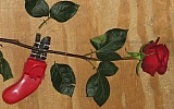 Growtech ACG-RTS Thorn Stripper, Red