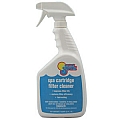 LIQUID SPA FILTER CLEANER - QT.