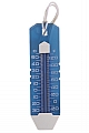 Thermometer, Magnified 